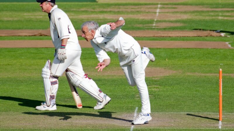 Still there are old man playing cricket