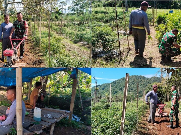 Babinsa Koramil 04/Tigalingga Dampingi Petani Desa Tambahan Hadapi Tantangan Pertanian