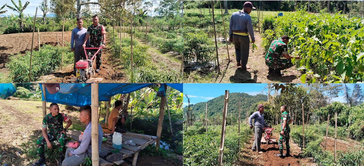 Babinsa Koramil 04/Tigalingga Dampingi Petani Desa Tambahan Hadapi Tantangan Pertanian