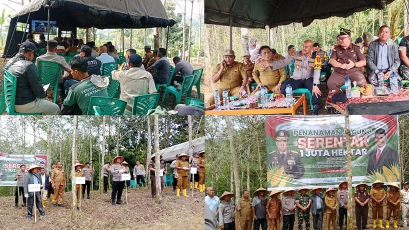 Wakili Dandim 0206/Dairi, Kapten Inf MD Lumbantoruan Hadiri Penanaman Jagung Serentak 1 Juta Hektar di Kabupaten Pakpak Bharat