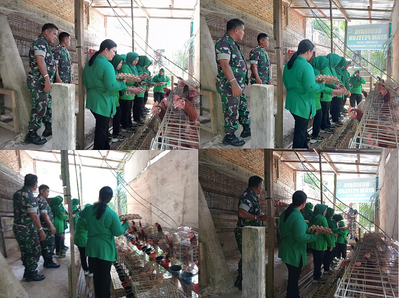 Koramil 12/LP Dukung Penuh Program Pemerintah dalam Budidaya Ayam Petelur