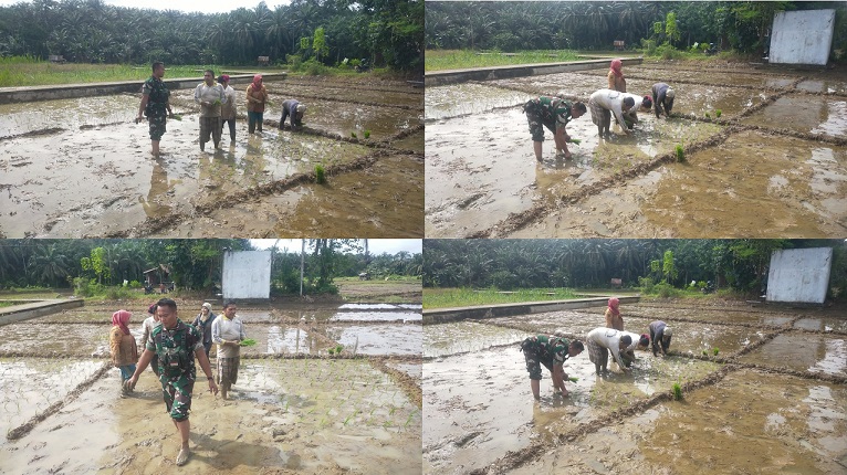 Dukung Penuh Pemerintah Dalam Swasembada Pangan