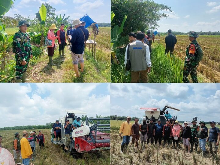 Babinsa Koramil 04/LB Melaksanakan Pendampingan Peninjauan Direktur Perlindungan Perkebunan Kementerian Pertanian