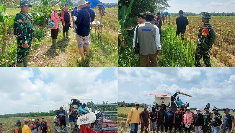 Babinsa Koramil 04/LB Melaksanakan Pendampingan Peninjauan Direktur Perlindungan Perkebunan Kementerian Pertanian