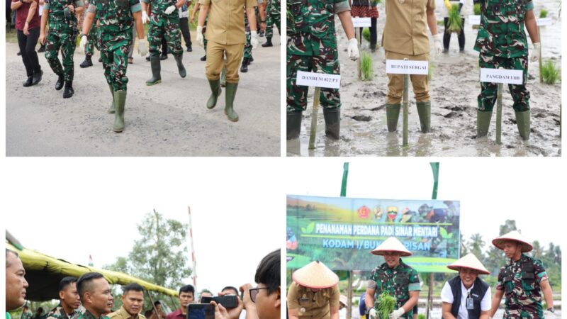 Dukung Program Panglima TNI, Pangdam I/BB Tanam Perdana Padi Sinar Mentari di Serdang Bedagai